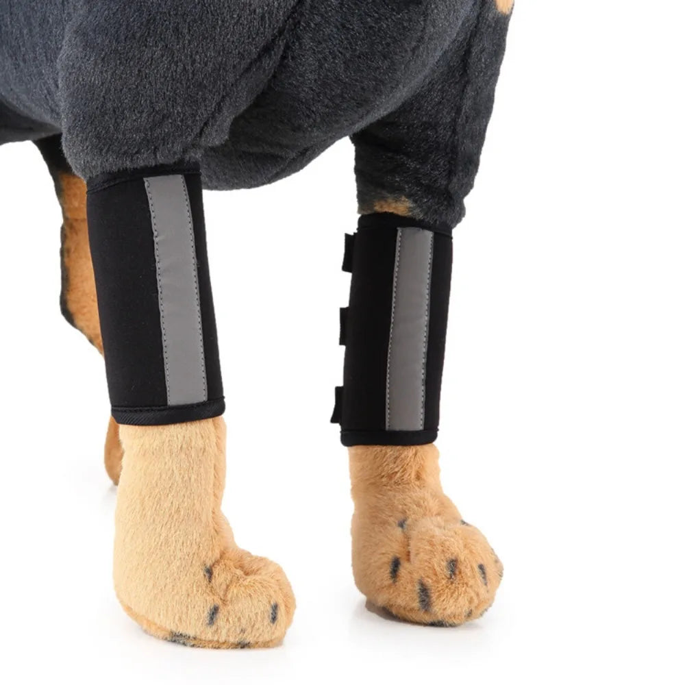 Shockproof Dog Accessories for Wound Recovery