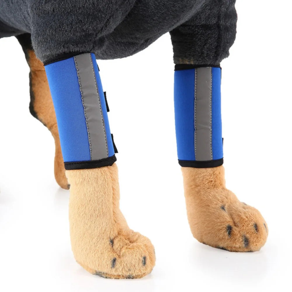 Shockproof Dog Accessories for Wound Recovery