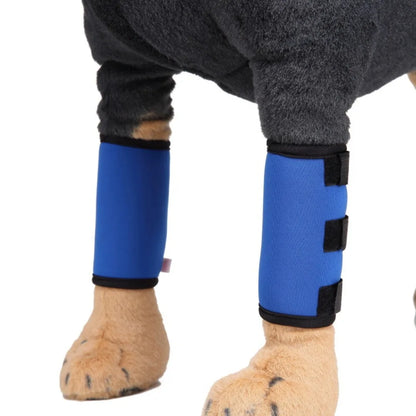 Shockproof Dog Accessories for Wound Recovery