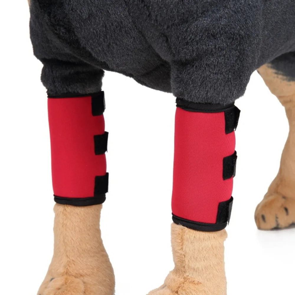Shockproof Dog Accessories for Wound Recovery