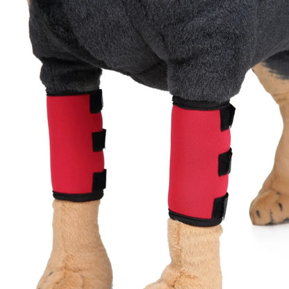 Shockproof Dog Accessories for Wound Recovery
