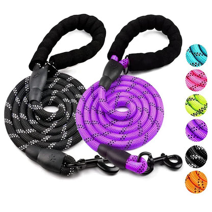 Strong Dog Leash Pet Leashes Reflective - Pup &amp; Trucking Adventures

