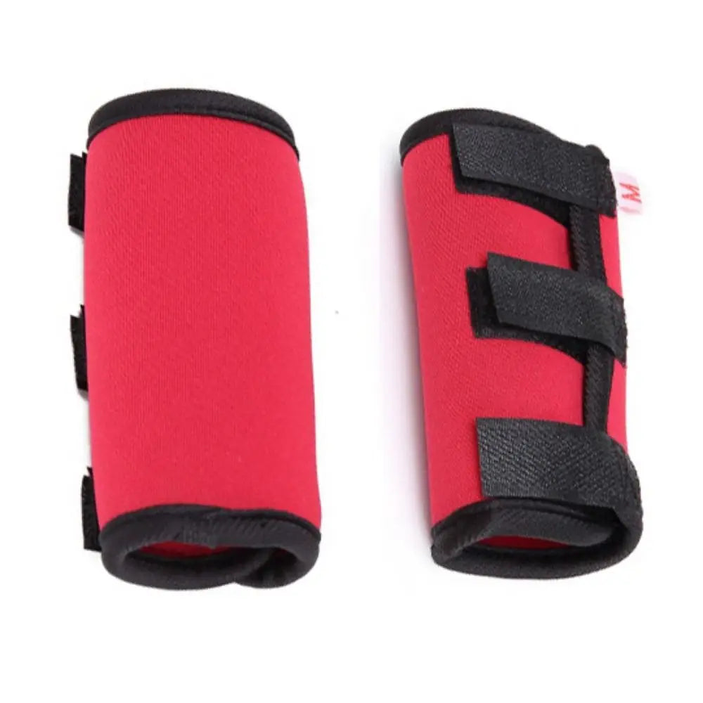 Shockproof Dog Accessories for Wound Recovery