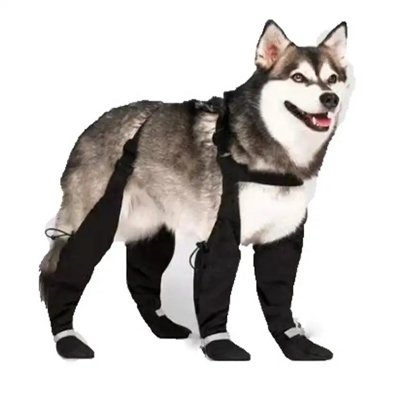 Reflective Dog Boots Shoes For Dogs Non-slip